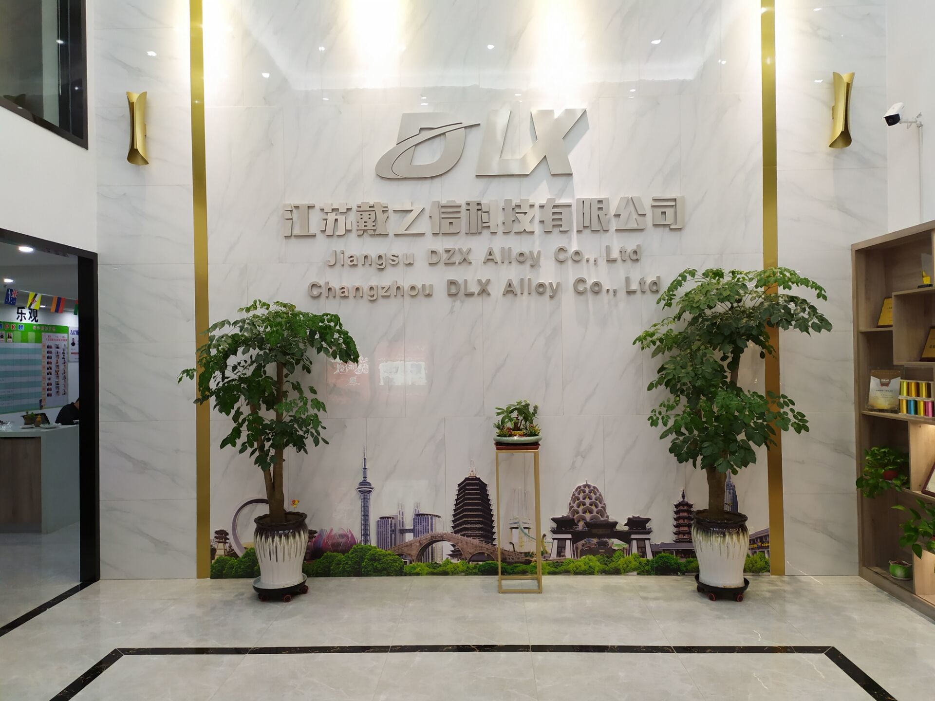 中国 Changzhou DLX Alloy Co., Ltd.