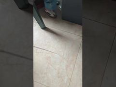 DLX医療用プラチナイリジウム毛細管