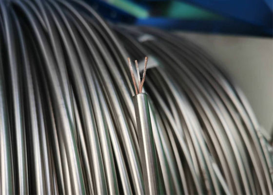 よい価格 SS316 12.7mm TP TNのタイプT MIのミネラル絶縁されたケーブルの熱電対ケーブル オンライン
